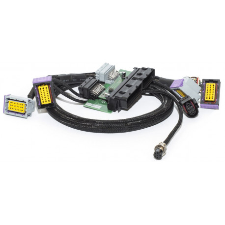 [LOTUS_EVORA_ECUMASTER] Lotus Evora - Ecumaster adattatore PnP